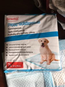 incontintentiematjes-puppy-kat-reismand-kattenherplaatsing-voorlichting