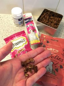 piletjes-verstoppen-lekkers-kat-medicijnen-medicatie-kattenherplaatsing2