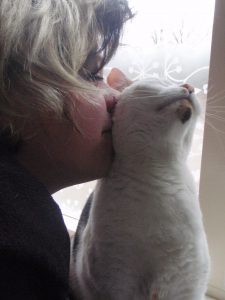 2012-03-10-kus-kat-chloe-kattenherplaatsing-fotograaf-nienke-flipsen