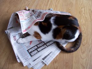 chloe-spelen-krant-laser-tablet-verrijking