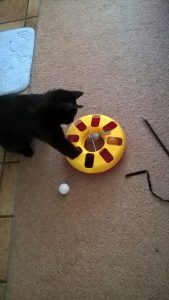 sneep-spelen-speelgoed-tablet-laser