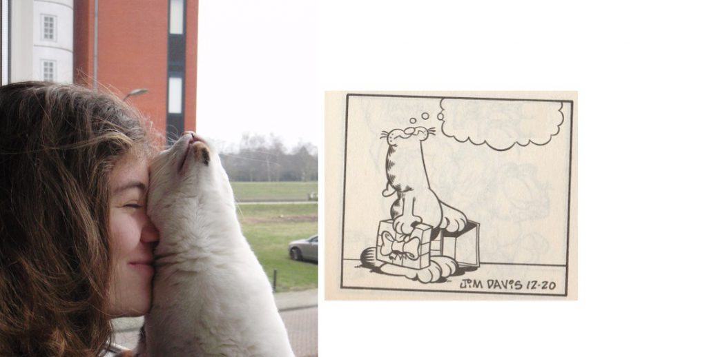 chloe-garfield-marieke-kattenherplaatsing