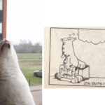 chloe-garfield-marieke-kattenherplaatsing-voorpagina
