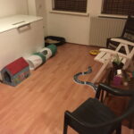 kamer-opvang-poes-kat-kattenvoorlichting (3)