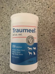 traumeel-dieren-kattenvoorlichting
