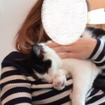 geslaagde-herplaatsing-poekie-fotos-nieuwe-huis (1)