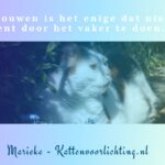 Rouwen-is-het-enige-dat-quote-marieke-in-memoriam-chloe-obrian