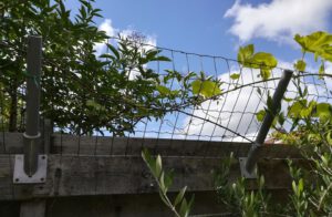 tuin-omheinen-vlaggenstokhouder-tips-kattenvoorlichting-foto-marja