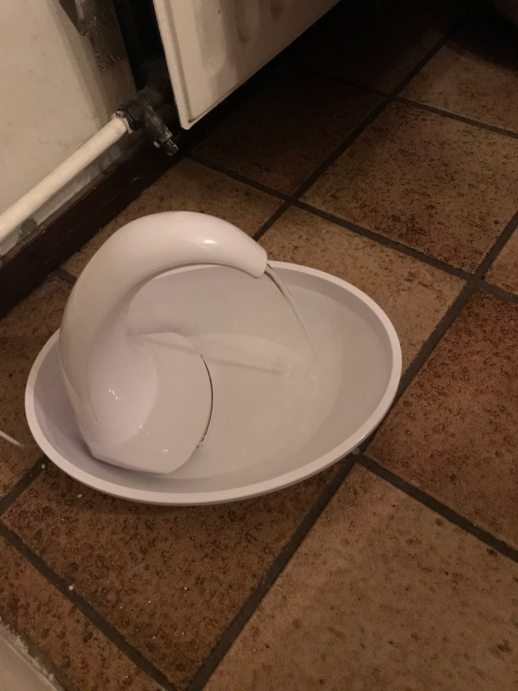 drinkfontein-kattenfontein-kat-meer-drinken-kattenvoorlichting-kraan-zooplus