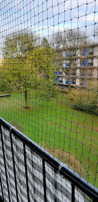 kattennet-olijfgroen-zooplus-its-mi-photography