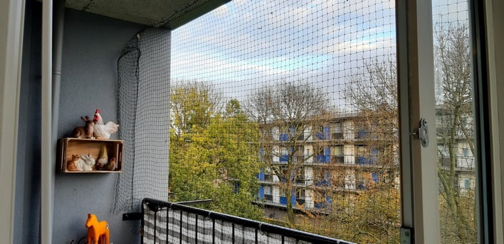 kattennet-olijfgroen-zooplus-its-mi-photography