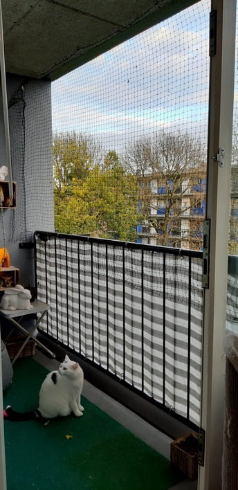 kattennet-olijfgroen-zooplus-its-mi-photography