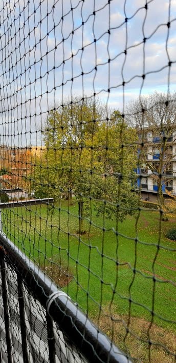 kattennet-olijfgroen-zooplus-its-mi-photography