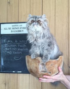 pers-shakira-stamboom-raskattenherplaatsing