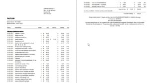 dierenartsrekening-boxmeer-kattenherplaatsing