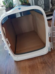 ziggy-nieuwe-thuis-succesvolle-kattenherplaatsing-gouden-tip-reismand