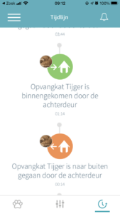 tijger-activiteit-sure-petcare-huisdierluik-kattenherplaatsing (1)