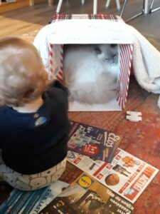 alfie-raskruising-raskattenherplaatsing-diemen (2)