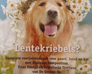 de-groene-os-voorjaarsaanpak-kattenvoorlichting