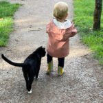 harry-kattenherplaatsing-putten