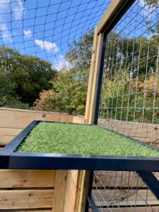 inrichting-katvriendelijke-tuin-pet-store-erik-coster-kattenvoorlichting