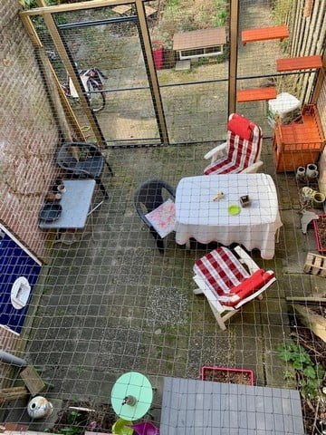 kattenren-luchtfoto-kattenvoorlichting-cuijk