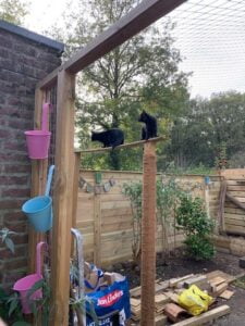verrijking-tuin-kattenvoorlichting