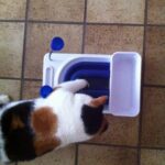 chloe-activity-board-voerpuzzel-kat-katten-kattenherplaatsing