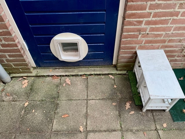 verrijking-kattenvoorlichting