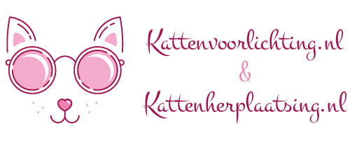 contact-kattenvoorllichting-kattenherplaatsing-gratis-persoonlijk-kattenadvies-op-maat