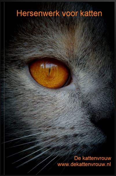 Hersenwerk voor katten, boek van De Kattenvrouw (klik op het plaatje om het boek te bestellen)