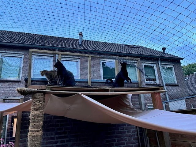 dak-kattennet-opgelost-kattenvoorlichting-nettenlijn-tuin-catproof