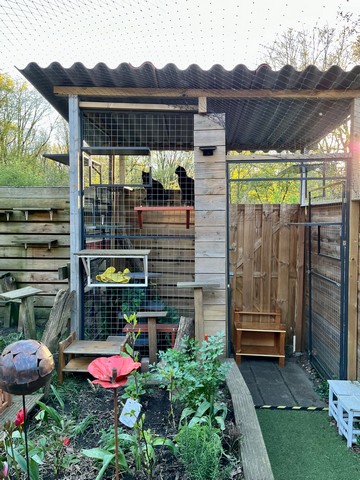 Koffie en Friet op de ligplankjes in de sluis - Inspiratie: foto's van mijn katvriendelijke tuin
