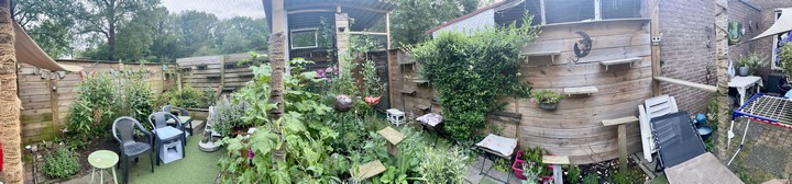 panoramafoto van mijn catproof tuin