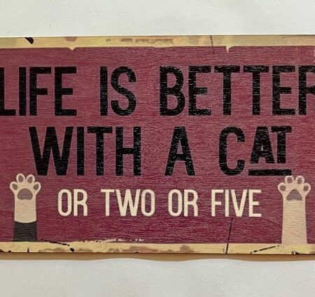 Kattenbordjes met diverse teksten