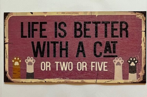Kattenbordjes met diverse teksten - Afbeelding 3
