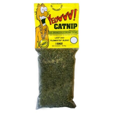 yeowww-catnip-kattenkruid-kattenvoorlichting-resized