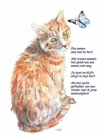 Junior-rouw-herdenken-sterktewens-wenskaart-kattenvoorlichting-resized