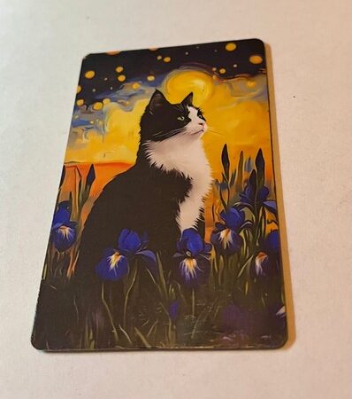 koelkastmagneten-kat-kattenvoorlichting-irissen