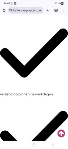 weergavefout-website-kattenvoorlichting