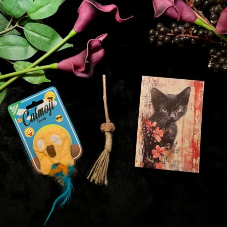 halloween-pakketje-katten-kattenvoorlichting-magische-herfst-seizoen