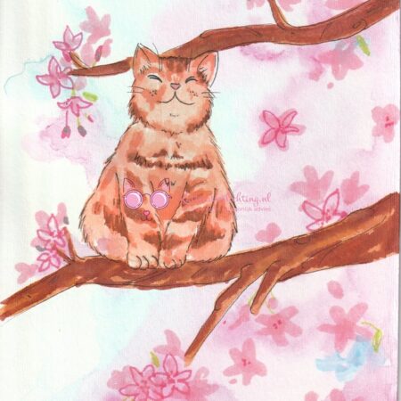 kat-japanse-bloesem-nicky-kattenvoorlichting_watermerk-resized