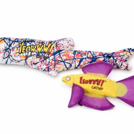 vissenset-kattenwinkel-kattenvoorlichting